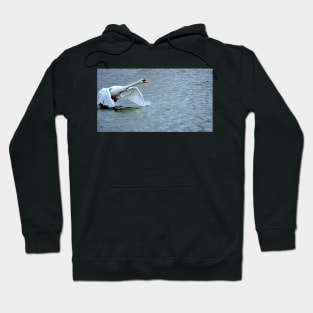 Swan's runway...is a long one Hoodie